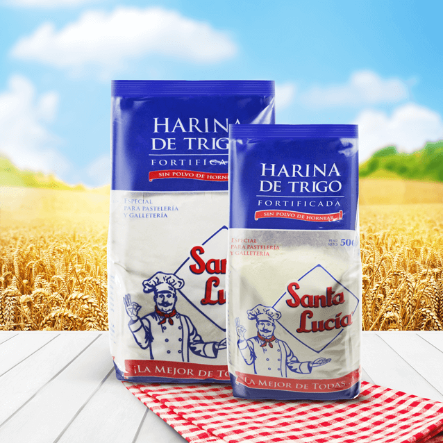 Harina de Trigo Fortificada sin Polvo de Hornear
